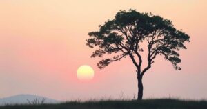 A serene landscape featuring a tree silhouette against a pastel sunset, reflecting calm and solitude.