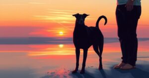 A romantic sunset silhouette of a dog and its owner on a beach, evoking love and companionship.