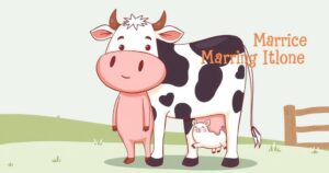 A humorous illustration depicting marriage expectations with a cow and a pig used as metaphors in a lighthearted style.